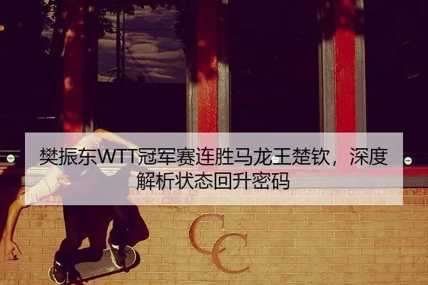 樊振东WTT冠军赛连胜马龙王楚钦，深度解析状态回升密码