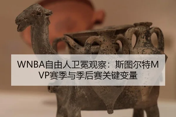 zi-you-ren-wei-mian-guan-cha-si-tu-er-te-sai-ji-yu-ji-hou-sai-guan-jian-bian-liang-3-409.jpg